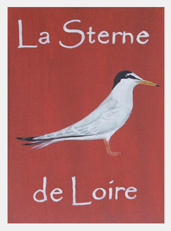 La sterne de Loire