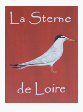 news- la sterne de loire