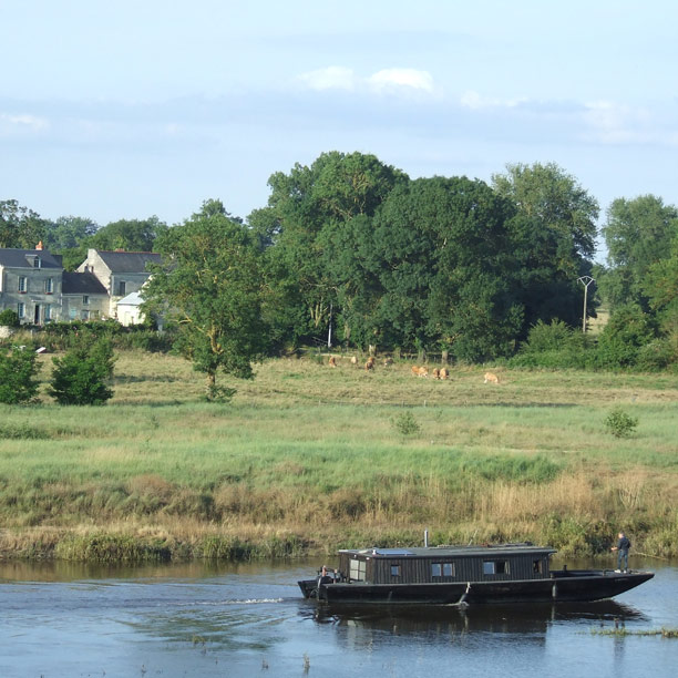 la sterne de loire chambre